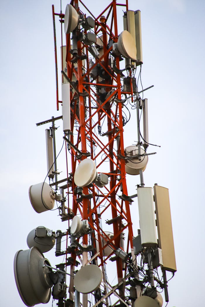 pexels photo 12003537.jpeg